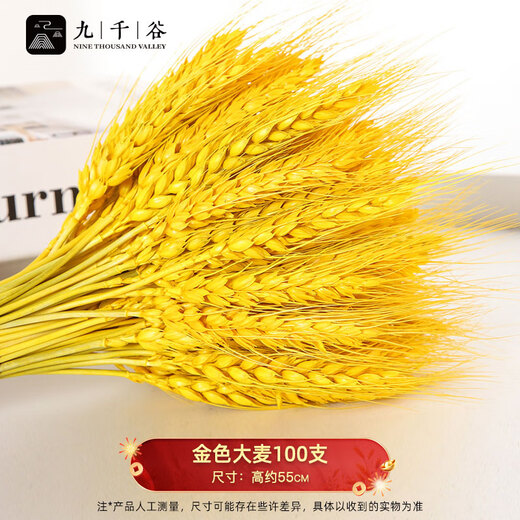 Jiuqiangu wheat ears dried bouquet opening housewarming barley decorative ornaments living room entrance fake flower arrangement gold 100 pieces 4398