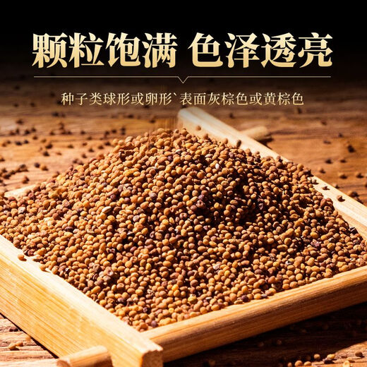 Peking Tongrentang Cuscuta Chinesische Kräutermedizin Innere Mongolei wilde Kaninchenseide in Wasser und Wein 250 Gramm Cuscuta [stärkere Nierenstärke]