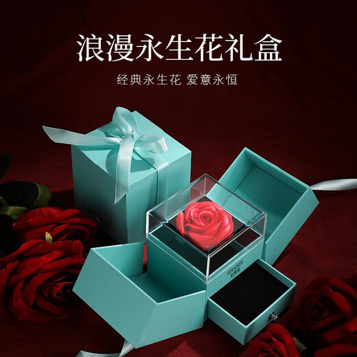 Givenchy Light Luxury Zodiac Snake Necklace Women's Bracelet Zodiac Year Jewelry Birthday Gift for Girlfriend Hotan Jade Necklace Zodiac Dragon