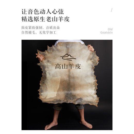前谷非洲鼓8/10/12寸手鼓丽江手拍鼓儿童幼儿园专用成人打击乐器 大10孔雀羽毛+教程
