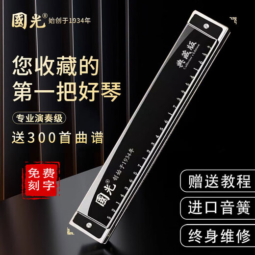 国光德国进口音簧国光重音口琴复音初学者高端成人专业演奏级高级送礼 28孔 蓝色复音C调 专业演奏级