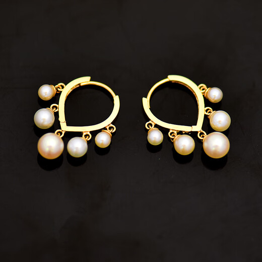 Xuecong Korean Fashion 10K Gold Earrings Feminine Versatile Commuting Small Pearl Tassel Starry Gypsophila Color Gold Earrings Trendy Pair