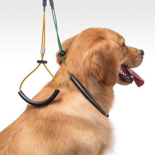 Jirpet pet grooming table dog and cat grooming table electric lifting bath holder blowing table table folding 007J high version