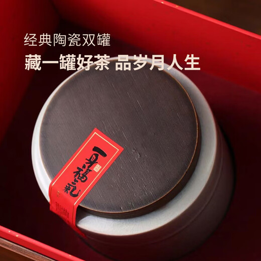 ZHENGLIANYING Longjing 2024 New Tea Hangzhou Tea Self-Drink Special Mingqian Five Blessings Double Cans-Longjing Tea 220g