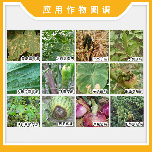 BAYER Silver Farley German Bayer pesticide propamocarb tomato cucumber downy mildew blight late blight silver hair fungicide 25ml