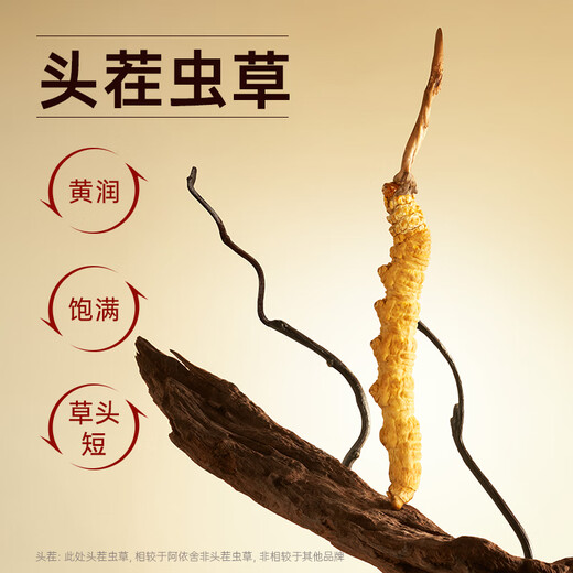 阿依舍冬虫夏草滋补送礼 断虫草 送父母送长辈实惠家庭滋补自用囤货礼盒 大号断草10克【自用滋补提升】