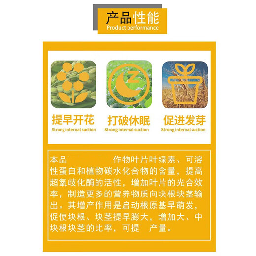 Guoguang Magic King Choline Chloride Garlic Ginger Atractylodes Potato Peanut Radish Yam Expanding Agent 200ml*1 Bottle