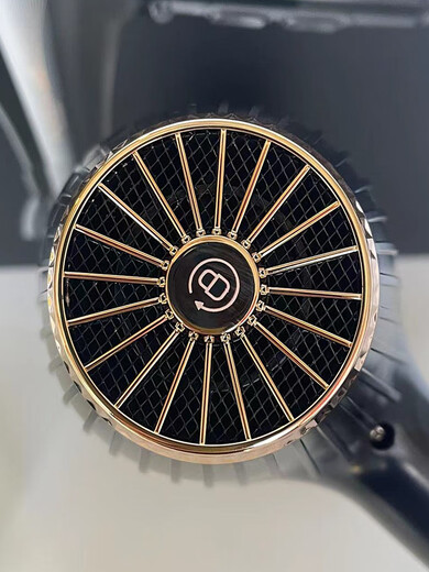 Feike Haartrockner FH6101 Friseursalon Spezieller Haartrockner negativer Ion ohne Beschädigung des Haar