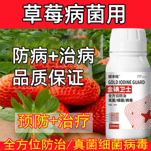 Gengfengwang strawberry disease special strawberry treatment medicine, downy mildew, powdery mildew, anthracnose, root rot, gray mold, leaf spot, fruit rot 500ml (30 acres)