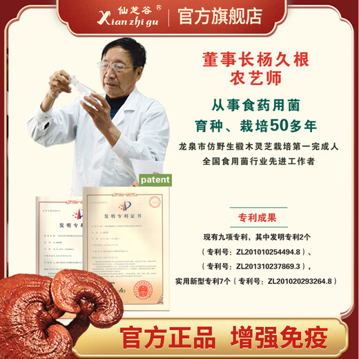 仙芝谷牌破壁灵芝孢子粉龙泉灵芝孢子粉增强免疫力 2克*30包