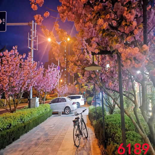 CLCEY网红主播直播背景布抖音快手拍视频段子3d立体背景墙夜景风景外景 6187 1.5米宽2米高