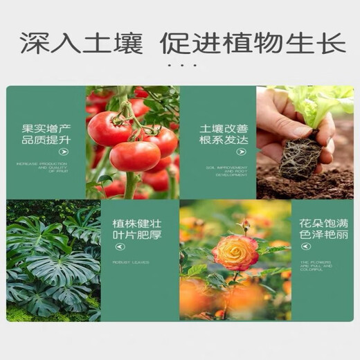 Stanley Compound Fertilizer Special Organic Fertilizer for Vegetables and Fruit Trees Seedlings Lawn Flowers Nitrogen, Phosphorus and Potassium Household Cauliflower Fertilizer Stanley Compound Fertilizer 18-18-18 Original 100 Jin Jin equals 0.5 kg