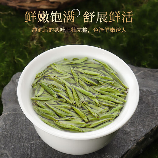 The first Jiangnan Green Tea Longjing Special Grade 200g2025 New Tea Mingqian Tea Gift Box Spring Tea Tender Sprouts Qingxin High-end Gift Gift