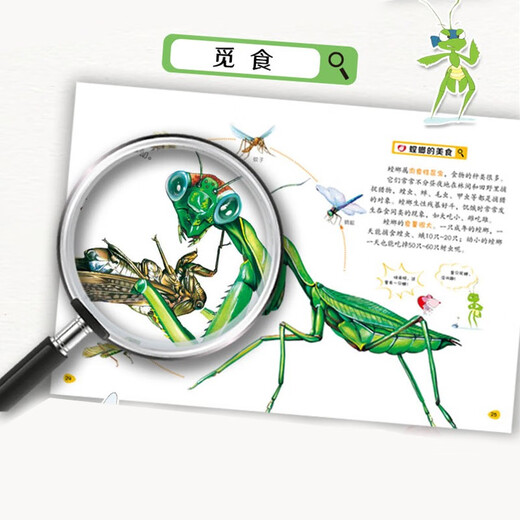 小昆虫大探秘（全套8册）彩图版 中小学生课外科普百科自然动物绘本1348****神马卡通四川少年儿童出版社
