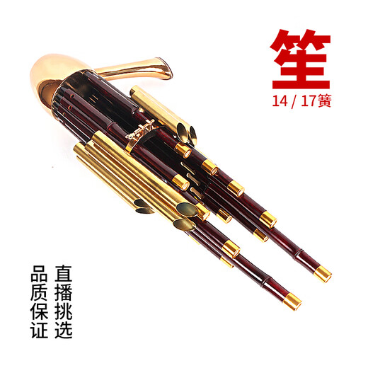 Qi ist 17 Frühling 14 Frühlingsverstärkungs-Musikinstrumente, Runde Sheng Square Sheng Kultivierungsinstrumente Sheng Bag Anfänger 17 Springverstärkungs-Musikinstrumente (lila Bambus weiße Röhre) -D-Melodie