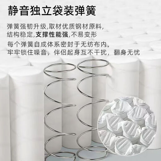 星年床垫天然乳胶席梦思床垫独立弹簧袋家用床垫子软硬两用可定制 护脊B款:加密弹簧+3E环保棕 偏硬约22cm厚 1350mm*1900mm