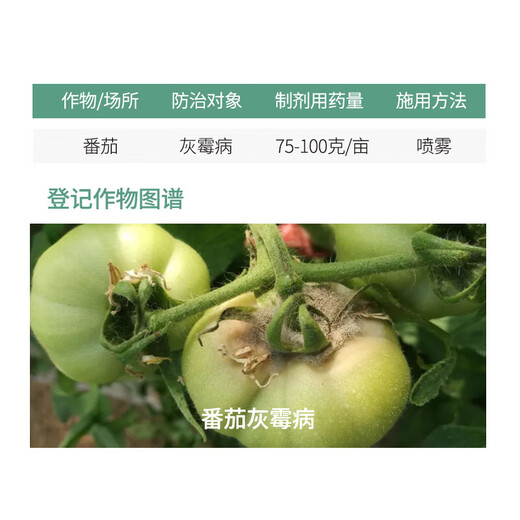 邦赛克50%腐霉利葡萄草莓番茄黄瓜茄子灰霉病菌核病腐烂病农药杀菌剂