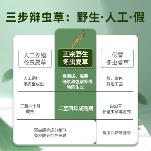 国坤堂 西藏那曲精选野生冬虫夏草 高海拔新干草7根/克 虫草1克试用装
