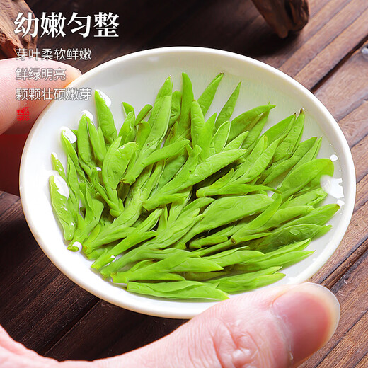 西湖说杭州龙井茶豆香特级250g明前绿茶春茶纸包装43#新茶嫩芽高端送礼