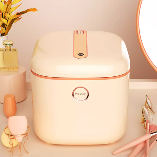 Feili underwear sterilizer dryer household small ultraviolet sterilizer disinfection box portable sterilizer sterilization box ZX02 10L upgraded model (dual lamp tube)