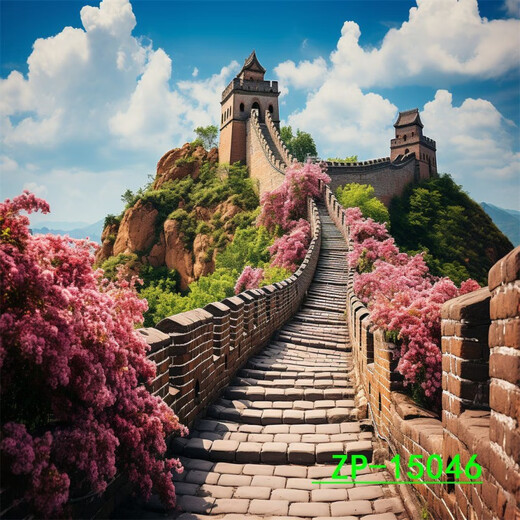 
Great Wall Hongyun Dangtou Background Clothing anchor Internet celebrity live broadcast room 3D three-dimensional live broadcast photo background old head hanging cloth ZP-13579 2.5 meters wide + 2.5 meters high