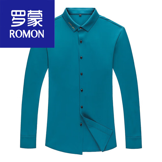 罗蒙（ROMON）男装 仿桑蚕丝衬衫男长袖免烫刺绣无痕衬衣秋季中年男士商务 黑色6221 165/80A