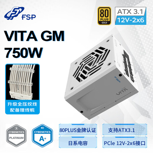 FSP VITA GM 750W Snow Edition Gold Medal Full Modular Power Supply (ATX3.1/PCle 5.1 12V-2x6 Interface/105 Japanese Capacitor/Full Embossed Cable)
