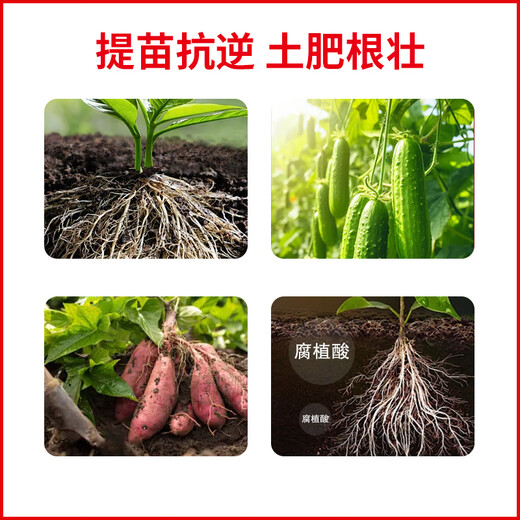 Jinzhengda amino acid-containing water-soluble fertilizer foliar fertilizer flush fertilizer garden fruit tree general fertilizer yellow leaf vegetable fertilizer amino acid liquid fertilizer 5L*1 seaweed fertilizer 1kg*1
