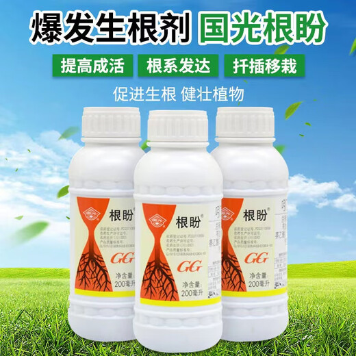 Guoguang Guoguang Genpan Naphthalene Acetic Acid Rooting and Seedling Strengthening Agent Plant Transplanting Rooting Agent with Hair Root Water Cutting Rooting Powder Guoguang Genpan 200mlx1 bottle