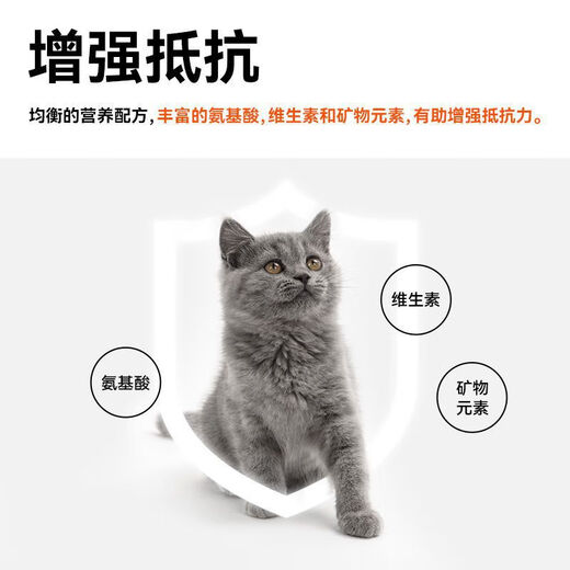 Good Master Good Master cat food for kittens special weight gain 1412 months kitten milk cake blue cat 5Jin Jin equals 0.5kg 25kg upgraded gold 82 meat content kitten food 2Jin Jin equals 0.5kg Default