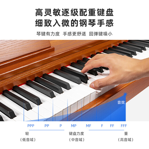 Wiyas EP106 Electric Piano 88 Keys Heavy Hammer Portable Home Beginner Professional Digital Electronic Piano Beginner - Light Brown Color + Power Keyboard + X Stand Standard Configuration + Three Pedestals + Gig Bag