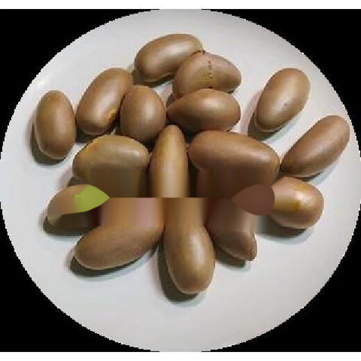 Durian honey seeds bear fruit early in the year, jackfruit, jackfruit, durian honey seeds, durian seeds, fruit seeds, durian honey seeds 2 capsules