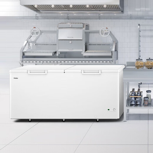 海尔海尔冰柜商用大容量1028L/829L/719L/830L家用冷藏冷冻两用1键转换-38度超低温冷柜海鲜速冻保鲜柜 纯白 1028L 1028T