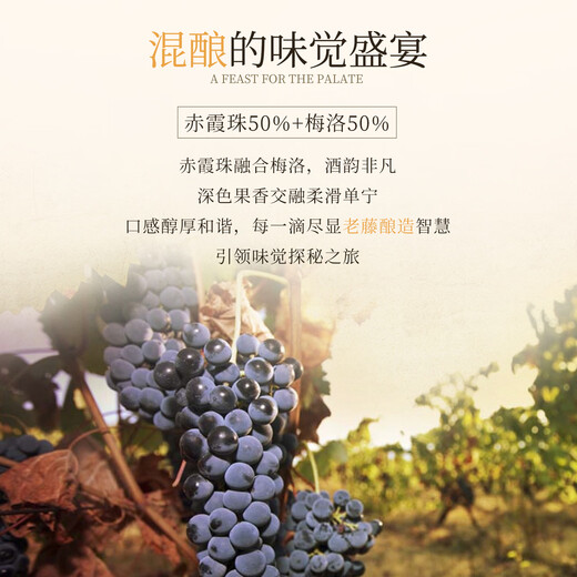 路易拉菲（LOUIS LAFON）法国原瓶进口红酒S92波尔多14度干红葡萄酒 750ml*2瓶送礼礼盒