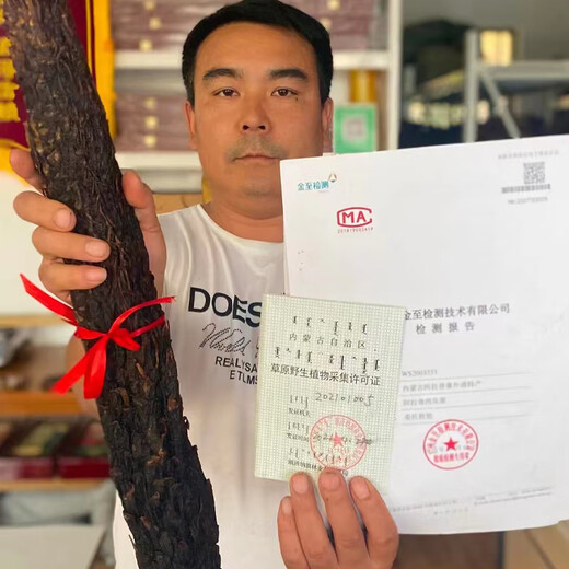 Tuoxiang zhenbao alaxan entier cistanche désert huile extra mous cistanche désert huile épaisse viande de cistanche trempée avec du vin chinois médicinal