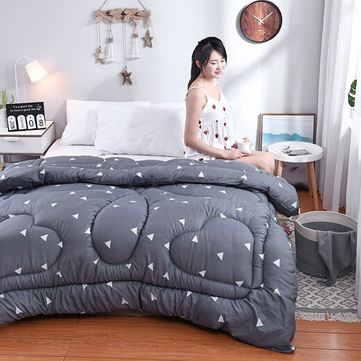 Qiao Shuka Spring and Autumn Quilt Warmth and Thickness Autumn and Winter Quilt Core Cartoon Print Soft Space Love Nest 150*200 About 3 Jin [Jin equals 0.5 kg] [Spring and Autumn Quilt]