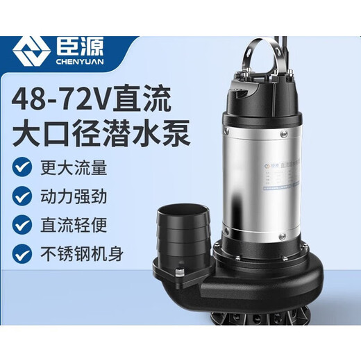 臣源（CHENYUAN）家用直流潜水泵48V60V72大流量高扬程电瓶车农用小型抽水泵 通用款4872V550W1寸标配7米