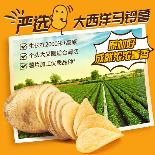 盐津铺子烘烤薯片焙烤食品零食吃货零食解馋膨化礼包 【约14包】混合口味