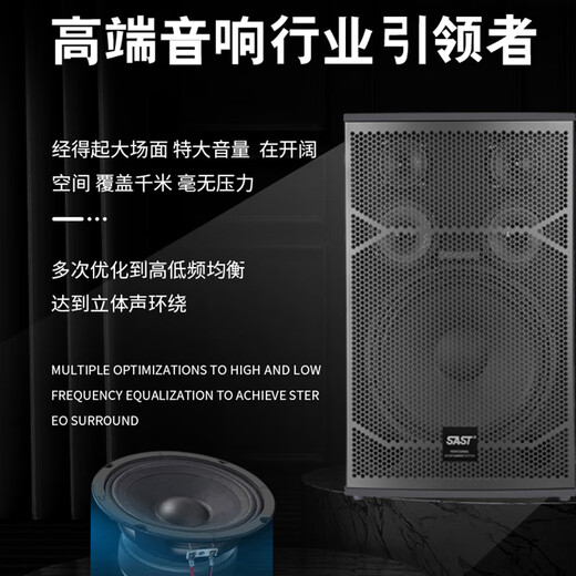 先科家庭ktv音响套装点歌机卡拉ok点唱一体机全套会议室家用家庭影院K歌全套电视客厅专业唱歌组合音箱 专业12寸10单元音响+功放