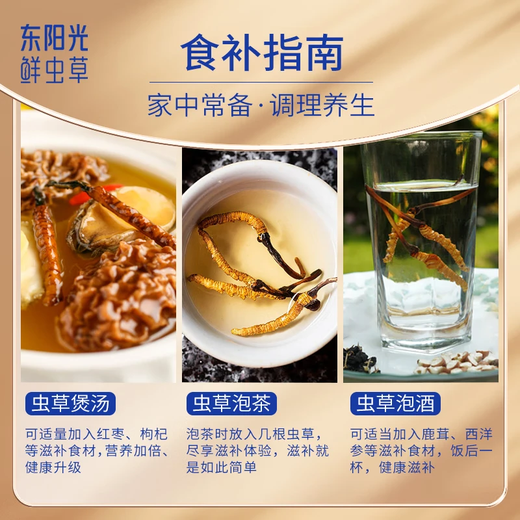 东阳光冬虫夏草2-3根/g50g约125根滋补礼盒冬虫草营养品补品送长辈老人