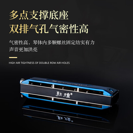 Dunhuang Chromotic harmonica 12-hole film-free washing C-tuning for students to beginners C-tuning black