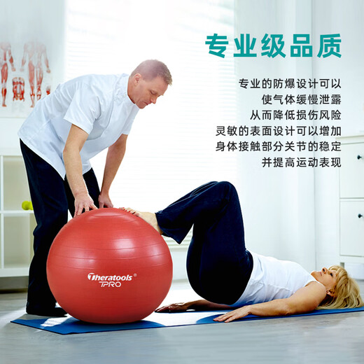 Theratools Pasteur Ball Rehabilitation Training Yoga Ball 55cm Balance Ball Explosion-proof Fitness Adult Pregnant Women Dragon Ball Children's Sensory System Silver Professional Model 85cm Suitable for Sensory Training