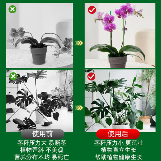 爬藤固定捆绑杆金钱树支撑杆室内瓜果花卉植物园艺花架花盆支架杆 10支4mm绿色60cm长 送10套帽