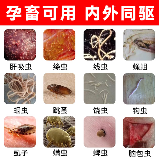 Veterinary insecticide tablets, internal and external anthelmintic medicine for dogs, cats, chickens, ducks, geese, cattle and sheep, general parasite medicine for pregnant animals, eight bottles, buy 5 and get 3 free