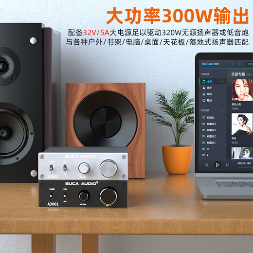 
SUCA AUDIO Voice A3001 Mono AV Home Theater 2.1/5.1/7.1 Subwoofer SUB Mid-mounted 300W Digital Amplifier Black [with 32V/5A Power Supply]
