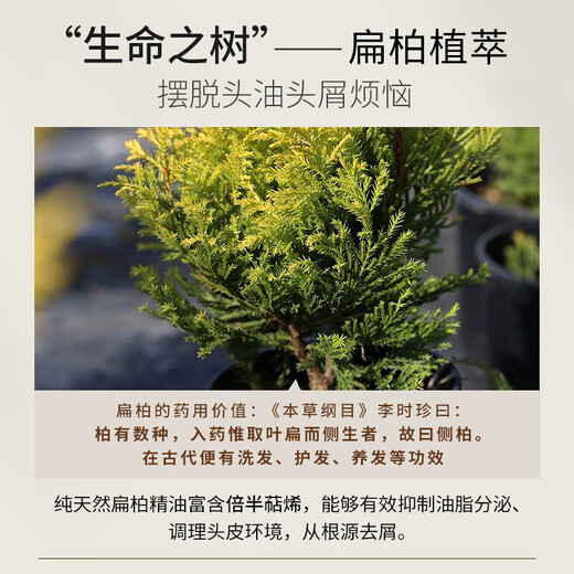 浅香洗发水沐浴露套装控油蓬松去屑柔顺留香护发乳洗发露男女士洗头膏 扁柏洗728g+沐浴露728g+护发260g