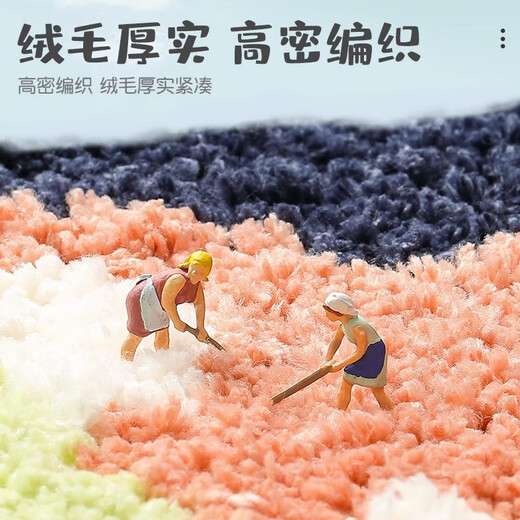 Segana bathroom absorbent floor mats, bathroom door mats, cute non-slip mats, home carpet door mats, door mats, Roaring Dragon 40*60CM, two pieces