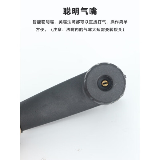 捷安特（GIANT）打气筒ATX610/620/660/810/830/860山地车美法嘴充气官方 迷你家用 美法嘴通用