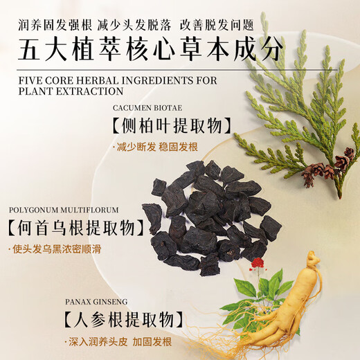 Dai Qingsi Anti-hair Loss and Growth Shampoo Official Hair Firming Lotion Anti-Breakage and Growth Hair Cream Flagship Oil Control and Anti-Dandruff Men's and Women's Store 2 bottles 840ml Anti-hair loss, firm and smooth hair