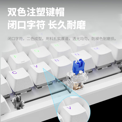 Rapoo V500PRO-98 Backlit wired mechanical keyboard Home office e-sports games 98 key arrangement layout Two-color injection molded key cap Full key collision-free design V500PRO-98 [Black blue axis]